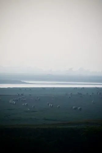Couette-café Chambres D'hotes L'abri Cotier Rue De La Baie Pendé